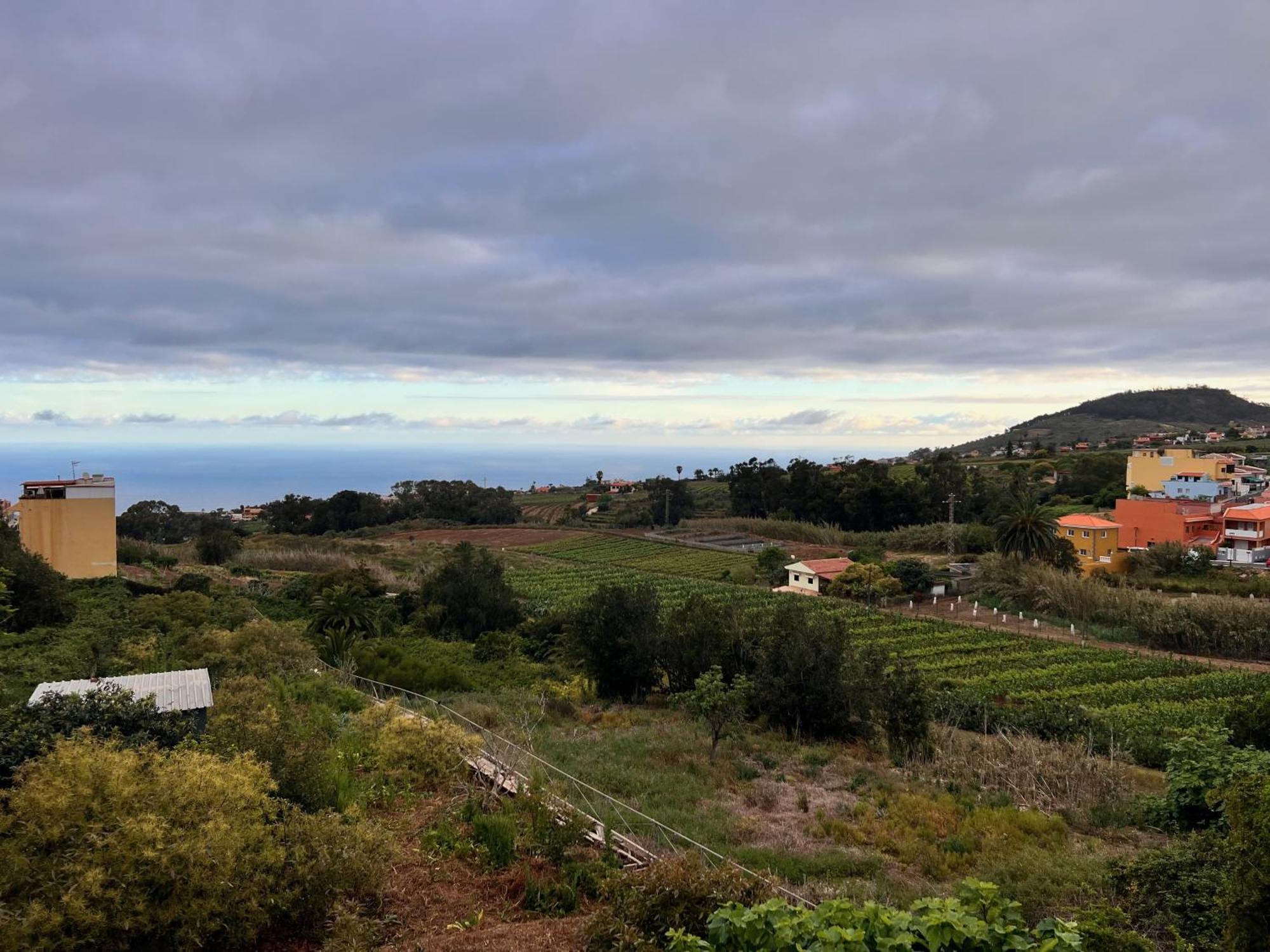 Casa Maricarmen Tacoronte